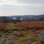 Burrator Reservoir in the distance