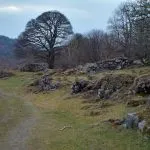 Some of the ruins of Deancombe Farm, Dartmoor
