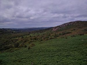 Smallacombe Rocks in the distance