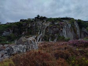 Holwell Quarry, Dartmoor