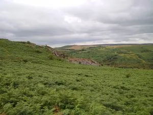 Holwell quarry near Haytor, Dartmoor