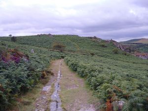 Part of the granite tramway which descends to the quarry on the right