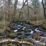 The river Bovey